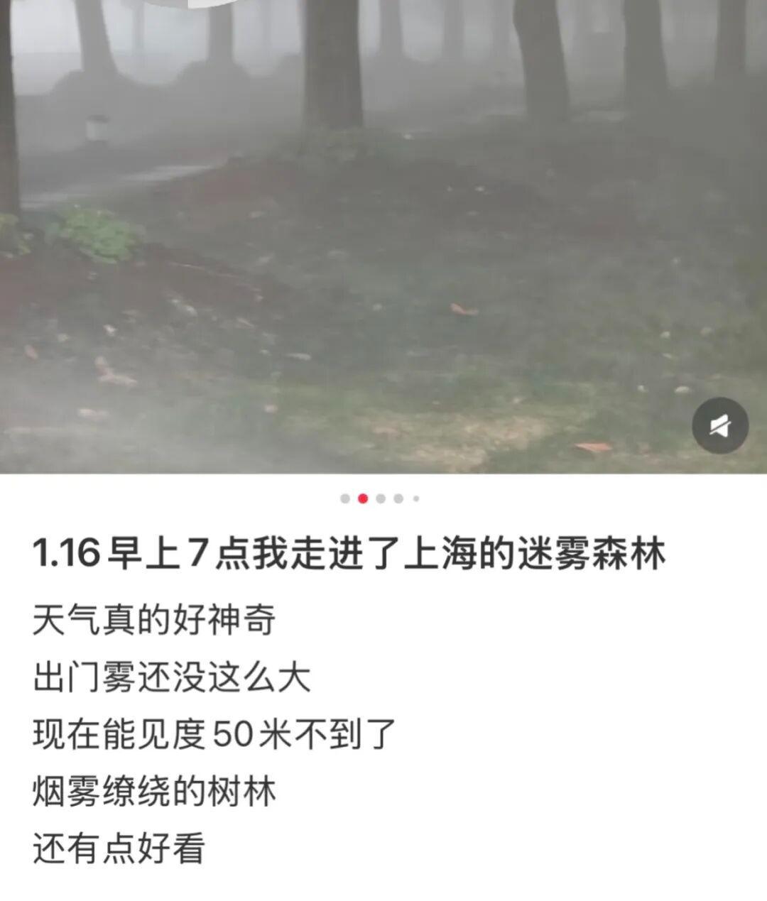 世界杯官网app下载-上海：入冬以来最强雨雪冰冻将袭！网友：没见过这么大雾，路口竟看不到红绿灯！